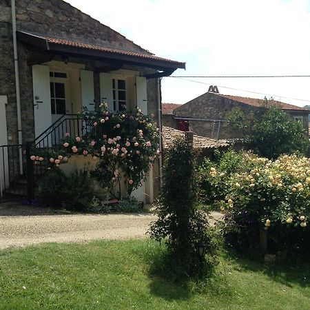 Вилла Le Vitrier Saint-Jean-de-Muzols Экстерьер фото